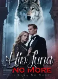 His Luna No More Novel Cover
