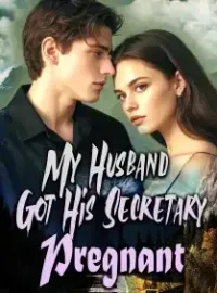 My Husband Got His Secretary Pregnant Novel Cover