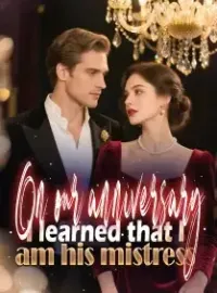 On our anniversary, I learned that I am his mistress Novel Cover