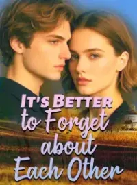 It's Better to Forget about Each Other Novel Cover