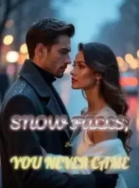 Snow Falls, But You Never Came Novel Cover