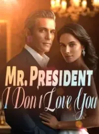 Mr. President, I Don't Love You Novel Cover