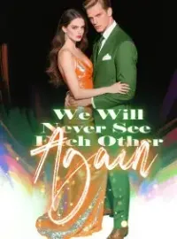 We Will Never See Each Other Again Novel Cover