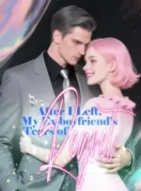 After I Left, My Ex-boyfriend's Tears of Regret Novel Cover