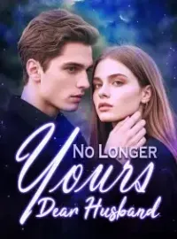No Longer Yours, Dear Husband Novel Cover