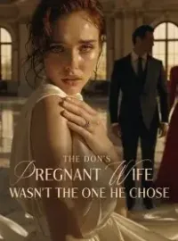 The Don’s Pregnant Wife Wasn’t the One He Chose Novel Cover