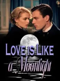 Love is Like a Moonlight Novel Cover