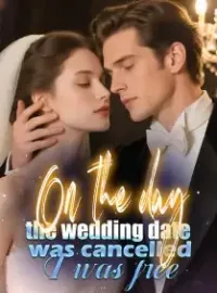 On the day the wedding date was cancelled, I was free Novel Cover