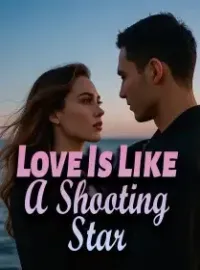 Love Is Like A Shooting Star Novel Cover