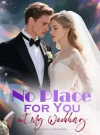 No Place for You at My Wedding Novel Cover