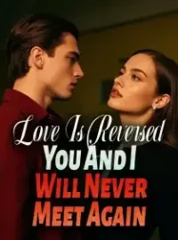 Love Is Reversed, You And I Will Never Meet Again Novel Cover