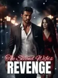 The Second Wife’s Revenge Novel Cover