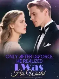 Only After Divorce, He Realized I Was His World Novel Cover