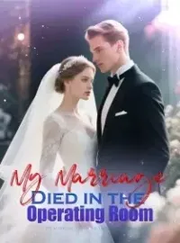 My Marriage Died in the Operating Room Novel Cover