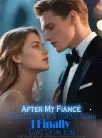 After My Fiancé Cancelled Our Wedding Again I Finally Gave Up on Him Novel Cover