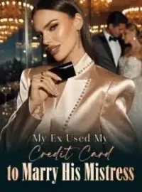 My Ex Used My Credit Card to Marry His Mistress Novel Cover
