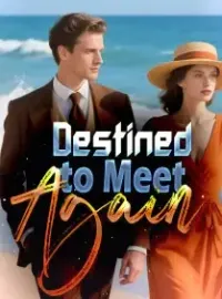 Destined to Meet Again Novel Cover