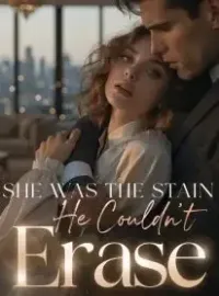 She Was the Stain He Couldn't Erase Novel Cover
