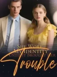 She Wore My Identity Until It Brought Her Trouble Novel Cover