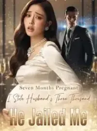Seven Months Pregnant, I Stole Husband's Three Thousand, He Jailed Me Novel Cover