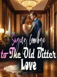 Saying Goodbye to The Old Bitter Love Novel Cover