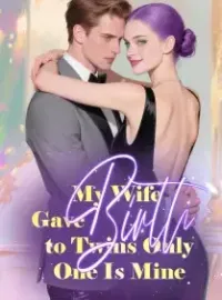 My Wife Gave Birth to Twins, Only One Is Mine Novel Cover