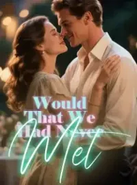 Would That We Had Never Met Novel Cover