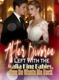 After Divorce I Left With the Mafia King Babies, Now He Wants Me Back Novel Cover