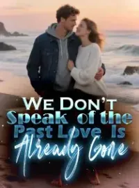 We Don’t Speak of the Past, Love Is Already Gone Novel Cover