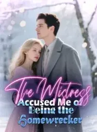 The Mistress Accused Me of Being the Homewrecker Novel Cover
