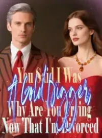 You Said I Was A Gold Digger,  Why Are You Crying Now That I'm Divorced? Novel Cover