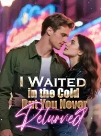 I Waited in the Cold, But You Never Returned Novel Cover