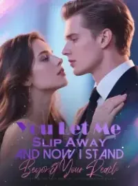 You Let Me Slip Away and Now I Stand Beyond Your Reach Novel Cover