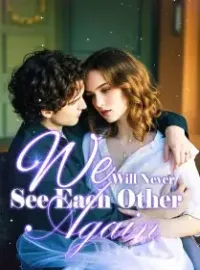 We Will Never See Each Other Again Novel Cover