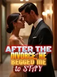 After the Divorce, He Begged Me to Stay Novel Cover