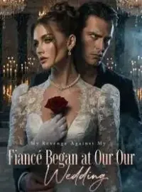 My Revenge Against My Fiancé Began at Our Wedding Novel Cover