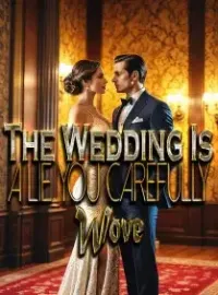 The Wedding Is a Lie You Carefully Wove Novel Cover