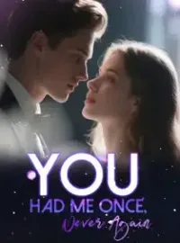 You Had Me Once, Never Again Novel Cover