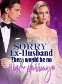 Sorry, Ex-Husband, There would be no Ninth Marriage Novel Cover