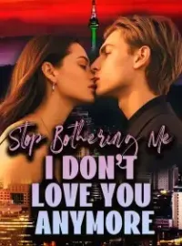 Stop Bothering Me, I Don't Love You Anymore Novel Cover