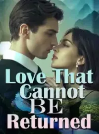Love That Cannot be Returned Novel Cover