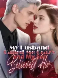 My Husband Called Me Crazy, and My Son Believed Him Novel Cover