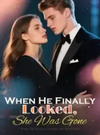 When He Finally Looked, She Was Gone Novel Cover