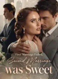 First Marriage Failed, Second Marriage was Sweet Novel Cover