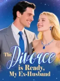 The Divorce is Ready, My Ex-Husband Novel Cover
