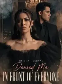 My Don Husband Denied Me in Front of Everyone Novel Cover