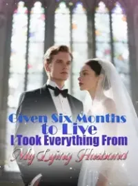 Given Six Months to Live, I Took Everything From My Lying Husband Novel Cover