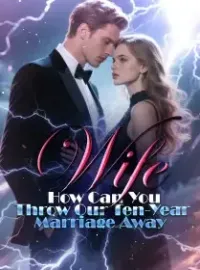 Wife, How Can You Throw Our Ten-Year Marriage Away! Novel Cover