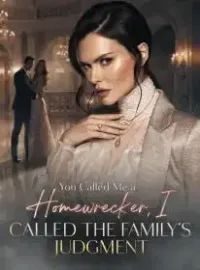 You Called Me a Homewrecker, I Called the Family’s Judgment Novel Cover