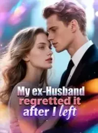 My ex-husband regretted it after I left. Novel Cover